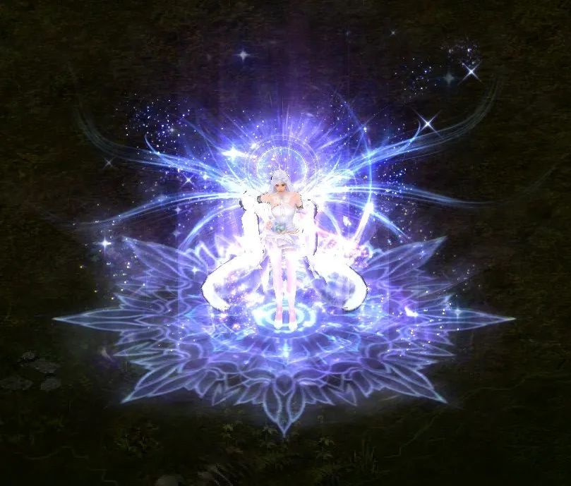 梦幻西游sf去哪直播